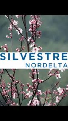 Lote En Venta Silvestre Nordelta Al Agua Financia