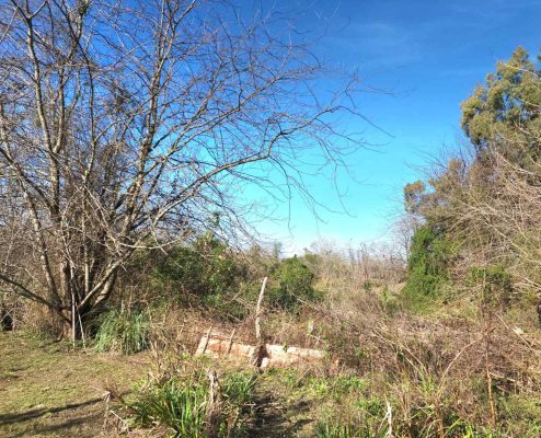 Venta De Lote En Benavidez