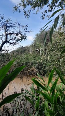Lot Sale on Rio Parana in Las Palmas