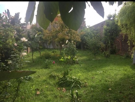 Venta Lote 310 M2 - Don Torcuato .