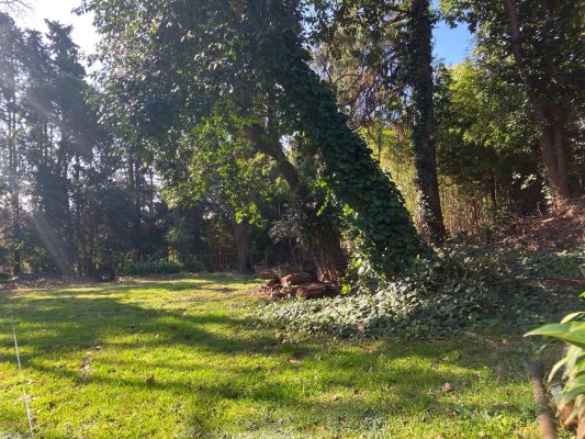 Venta Lote 600m2 en Casco Histórico de San Isidro
