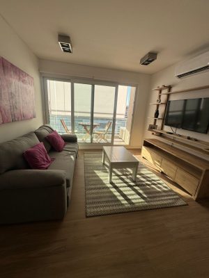 Alquiler Amoblado Departamento 3 Ambiente Nordelta