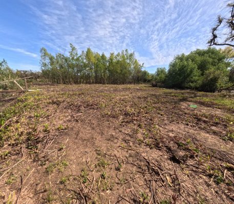 Dos lotes en venta en Arroyo Urión con Escritura