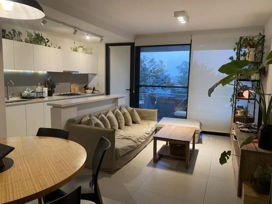 Apartment 2 rooms with balcony, grill, garage