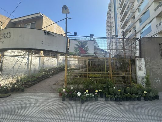 Sale Lot for Development Beccar Center