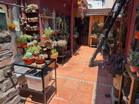 Venta Ph 3 Ambientes - En Beccar-A Refaccionar