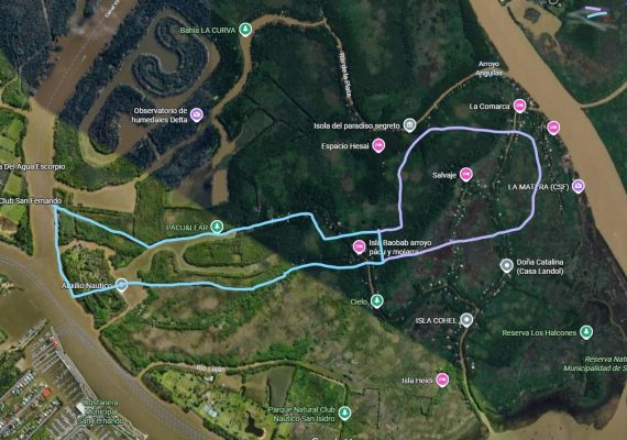 Land Sale in Delta del Tigre – 98 hectares