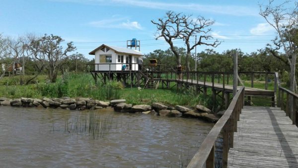 Sale of 8.4?hectare fraction – Canal Honda – Delta Tigre