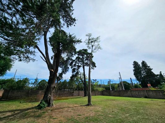 Lote Venta Villa Bertha Benavidez - Oportunidad!!