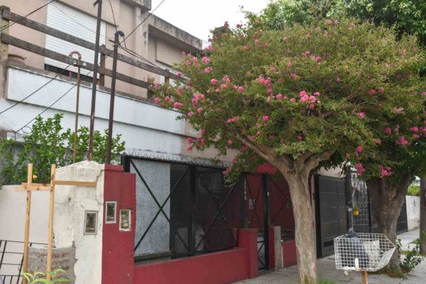 Venta De Dos Casas En Villa Adelina Lote 237 M2
