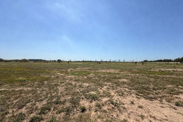 Venta Lote En Barrio Silvestre Nordelta
