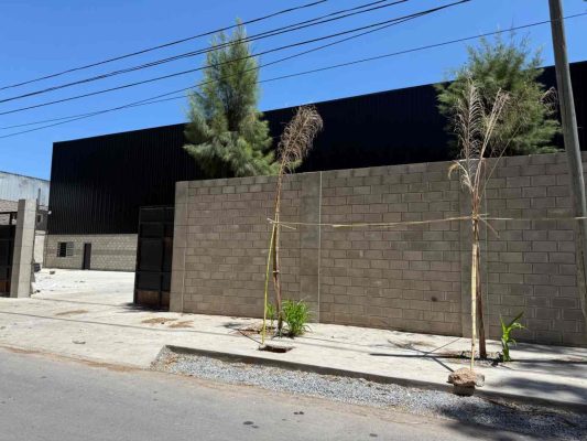 Industrial warehouse for sale in Benavidez