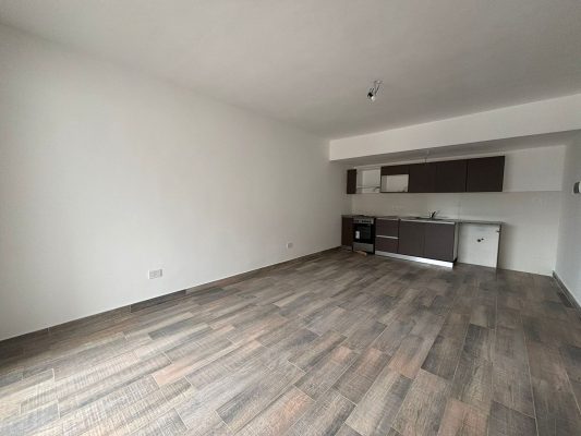 Departamento 2 ambientes en alquiler