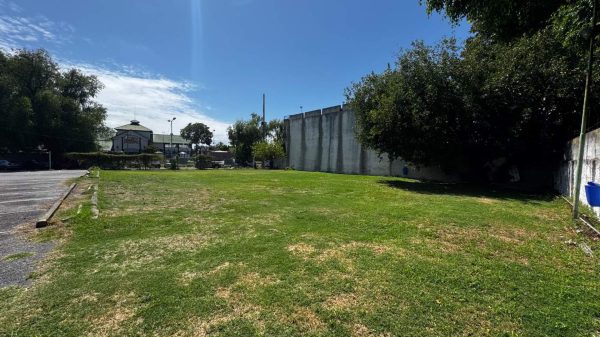 Venta De Lote En Tigre - Puerto De Frutos