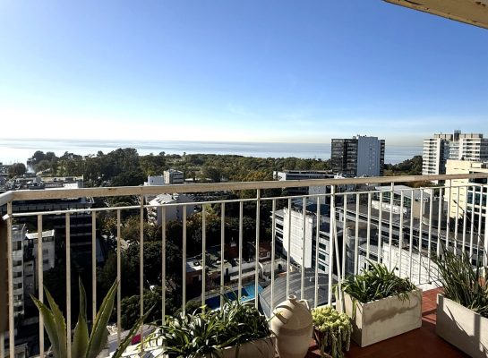 Sale 3-Bedroom Apartment Balcony Parking in Vicente Lopez
