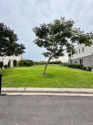 Oportunidad Lote Interno Castaños Nordelta venta