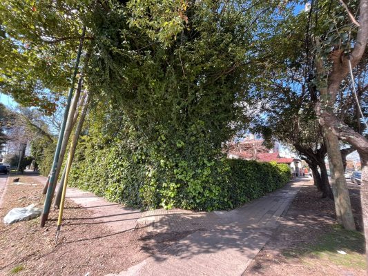 For Sale Lot 15 F - 10 x 20 in Villa Adelina