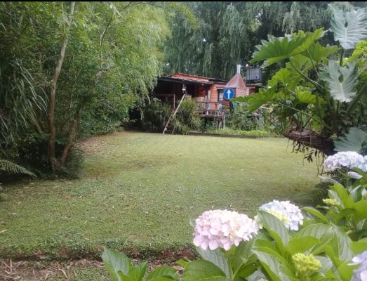 Opportunity Lot/House Delta De Tigre