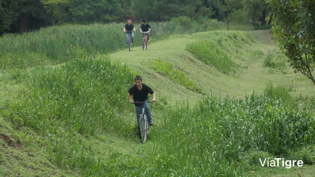 Circuito de bicicletas.