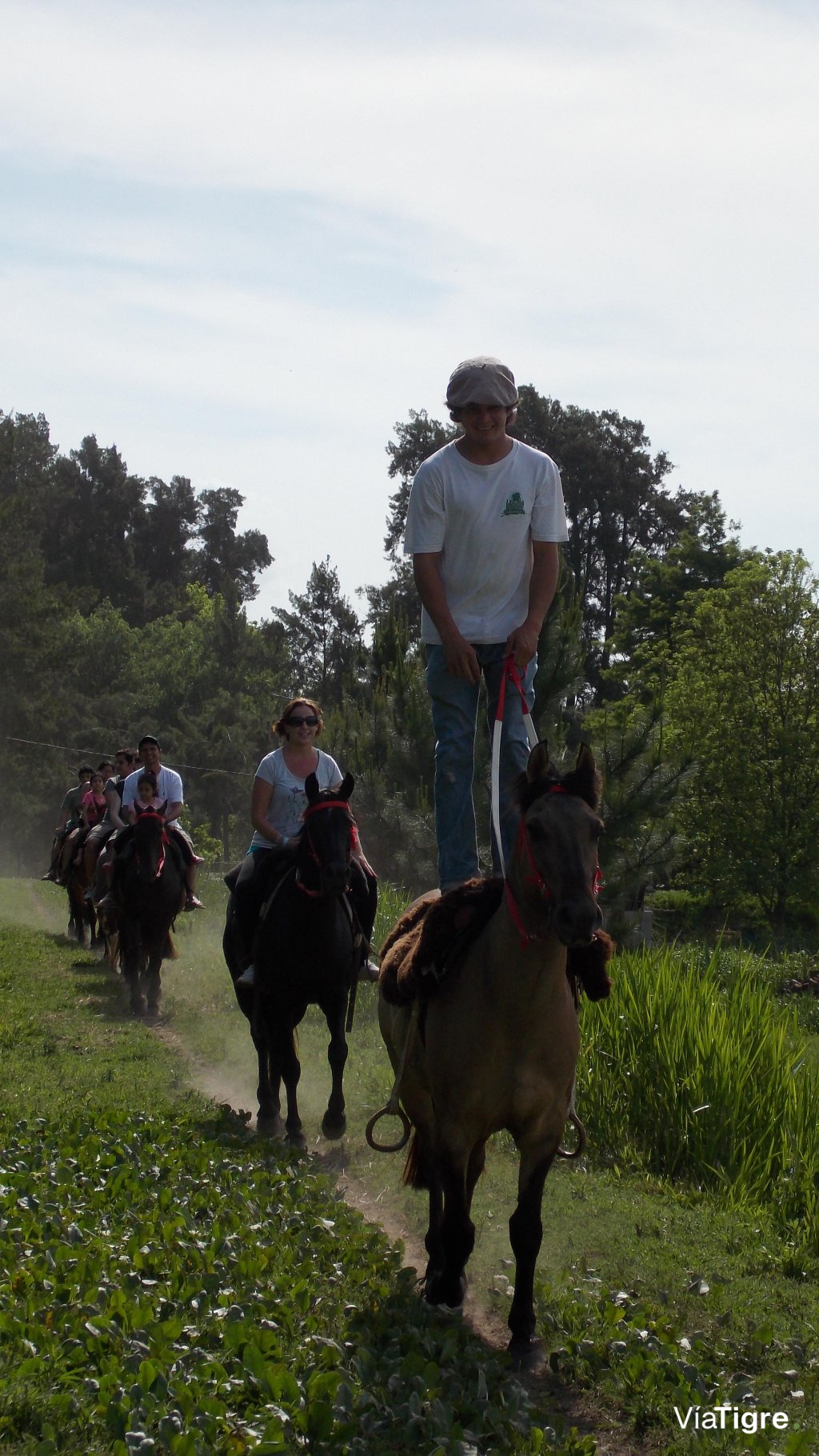 Cabalgatas.
