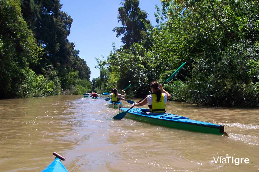 Remo por el Delta